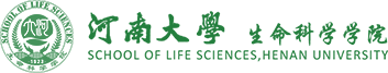 永利集团304am登录